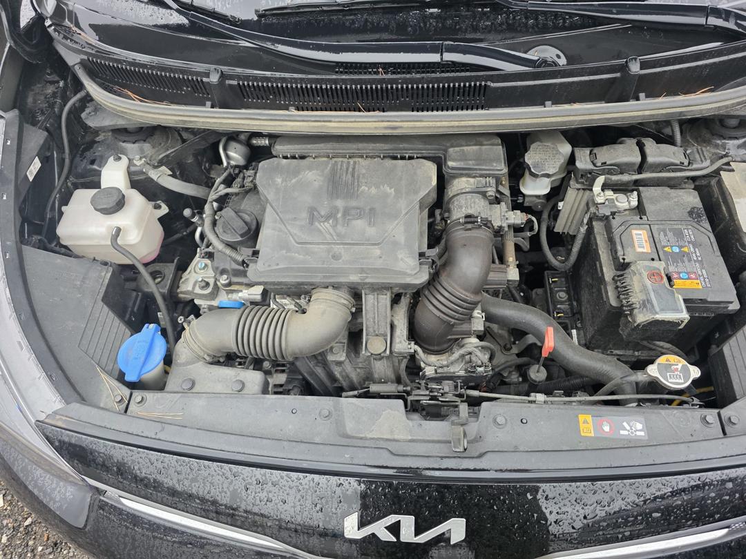 
								KIA MORNING 2023 PRESTIGE full									