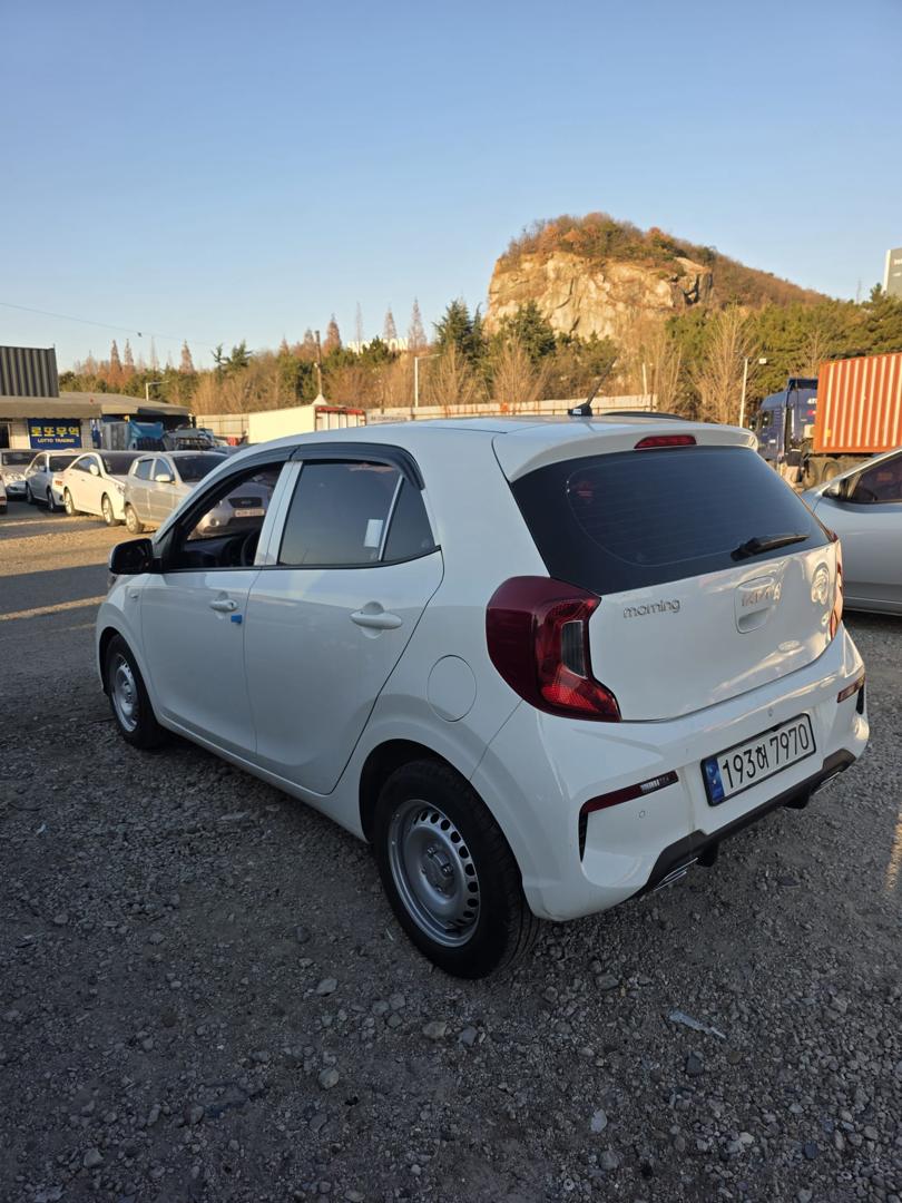 
								KIA MORNING 2023 STANDARD full									